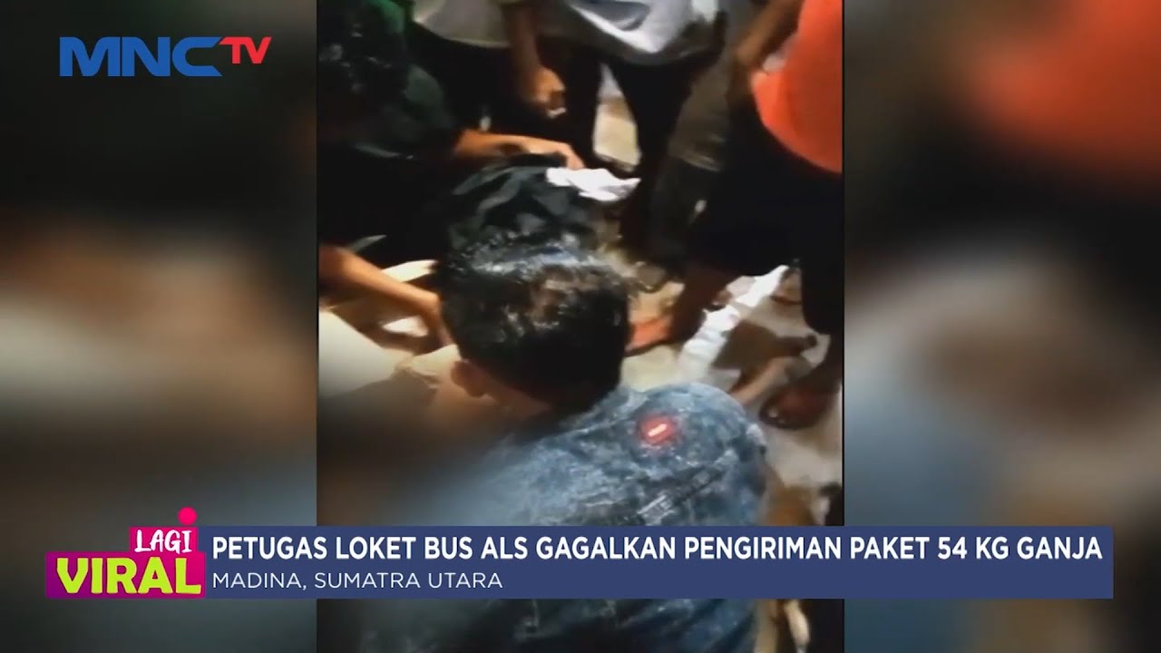Petugas Loket Bus ALS Gagalkan Pengiriman Paket 54 Kg Ganja di Madina, Sumatra Utara - LIP 26/07