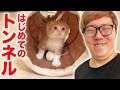 まるお、初めてのトンネルで大暴走w【まるおの成長日記 #2】【ヒカキンTV】