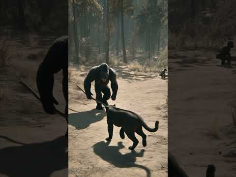 아기 고릴라를 건드린 대가, 흑표범의 최후 He Messed With the Wrong Baby Gorilla…