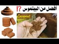كوكوبيت أو بيتموس ما الفرق و ما هو الكوكوبيت Cocopeat 