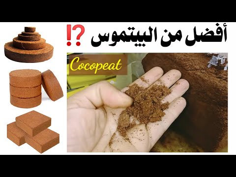 كوكوبيت أو بيتموس ما الفرق و ما هو الكوكوبيت 