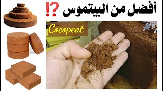 كوكوبيت أو بيتموس، ما الفرق و ما هو الكوكوبيت cocopeat