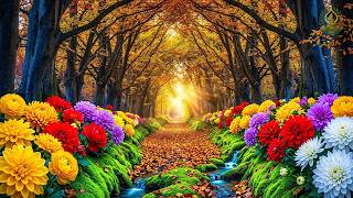 (No Ads) Autumn Serenity Music 🍁 Gentle Melodies to Relieve Stress & Heal Your Mind