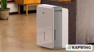 Does Dehumidifier Help With Mold?