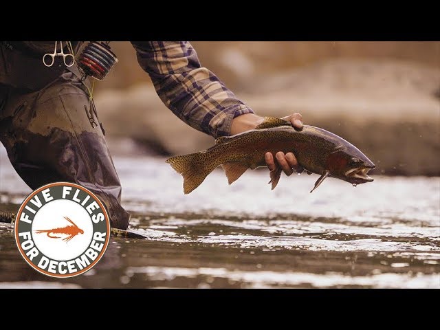 fishing rod shimano uk Shimano Aero X7 Distance Feeder Rod