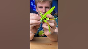 Levels of Building LEGO Insects… #shorts