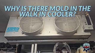 WHY IS THERE MOLD IN THE WALK IN COOLER? by HVACR VIDEOS 33,317 views 3 months ago 47 minutes