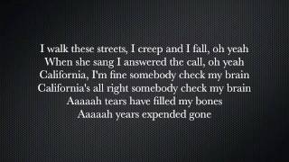 Alice In Chains - Check My Brain - Lyrics
