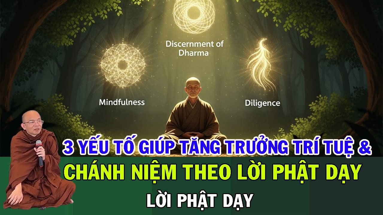 3 Yếu Tố Giúp Tăng Trưởng Trí Tuệ & Chánh Niệm Theo Lời Phật Dạy | Sư Giác Nguyên