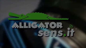 Tutorial Alligator sens.it Relearn