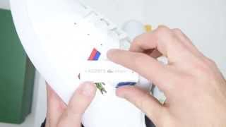 shoes vector graphics