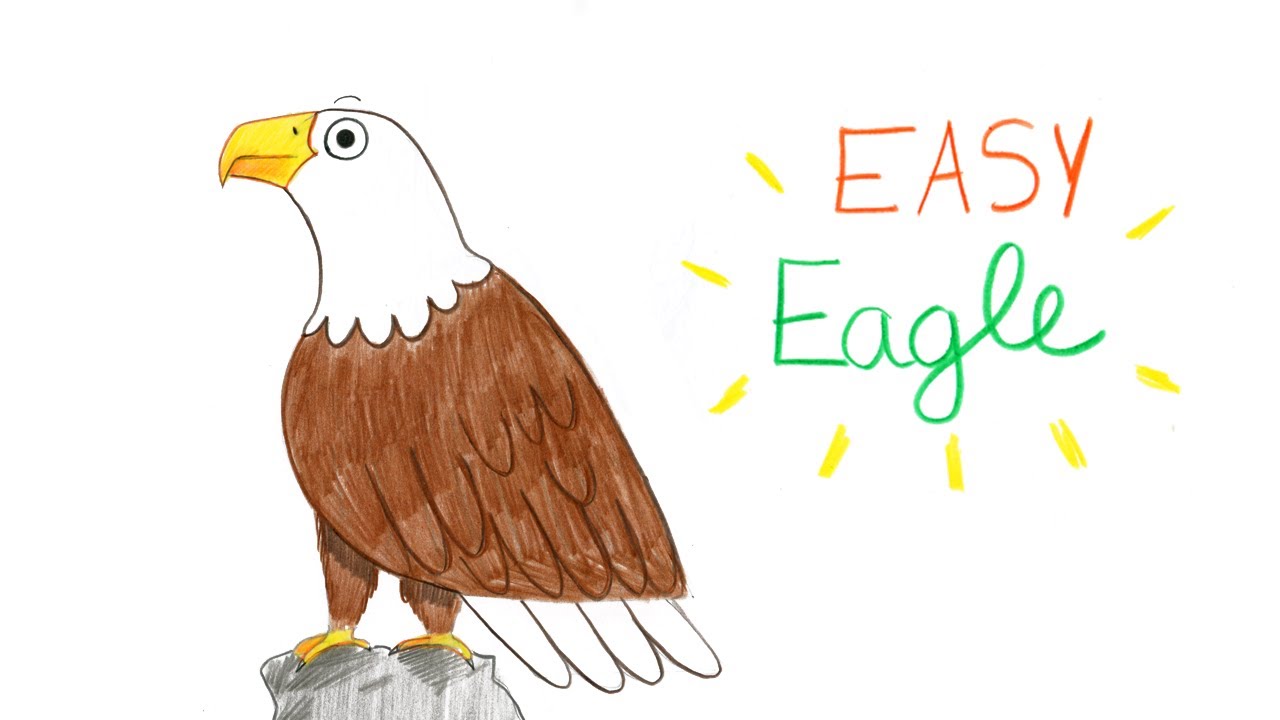 How To Sketch A Bald Eagle, Step by Step, Drawing Guide, by makangeni -  DragoArt