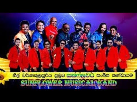 #sunflower band  FULL live show#සංගීතයටගැයූ මියුරුගීත10SinhalaNewSong Aluth Sindu