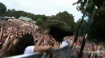 K-array - A look back at 2014