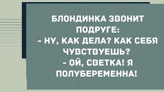 - Ой, Светка! Я полубеременна! Смех! Юмор! Позитив!