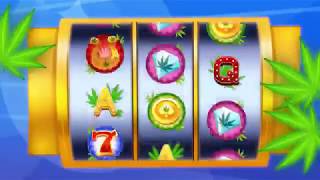 Weed Slots Casino screenshot 2