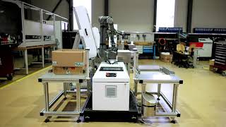 Fully Automated Cobot Stack Counter and Case Packer