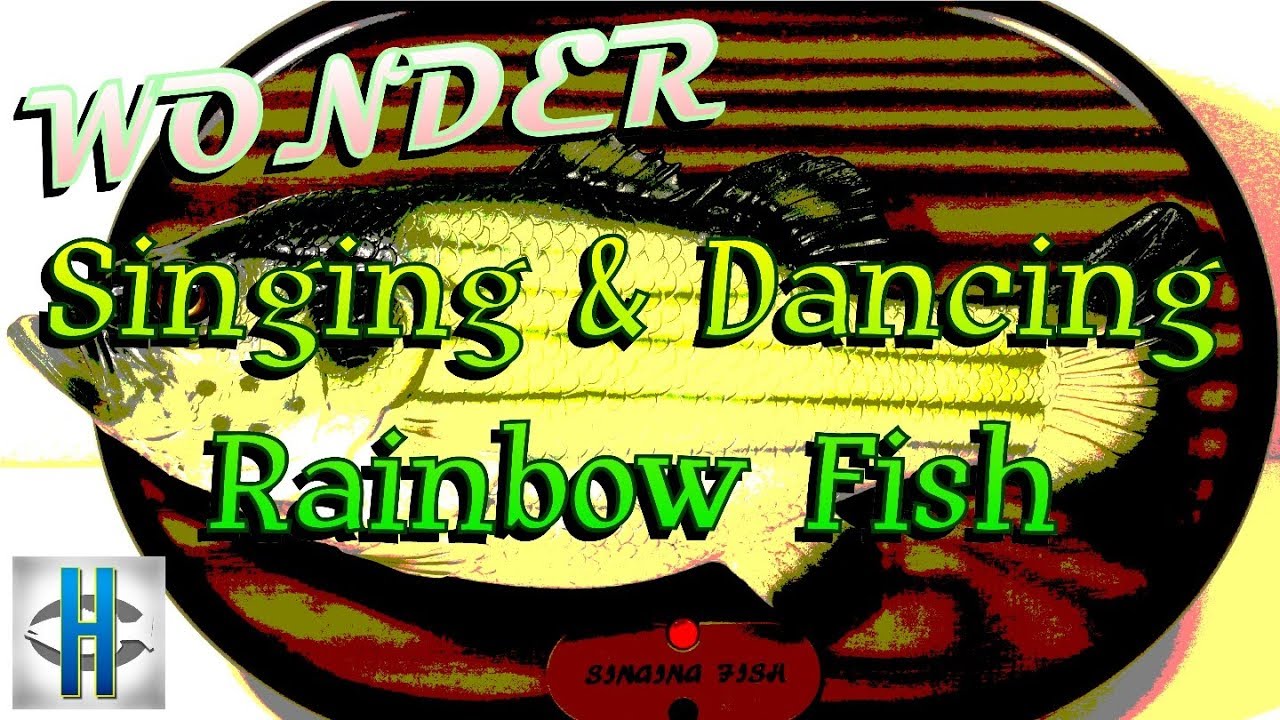 Wonder Singing And Dancing Rainbow Fish - YouTube