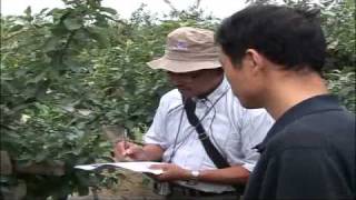 Certification by Peterson Control Union