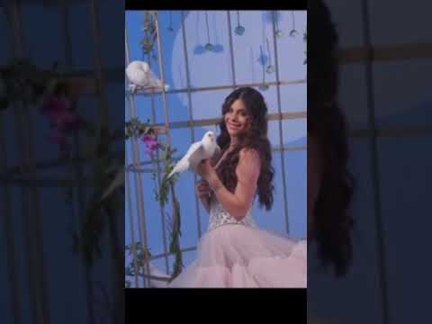 يا عمري فرح شريم ٢٠٢٥