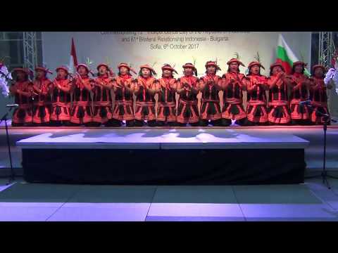 Wonders of Indonesia 2017: Saman Gayo Lues