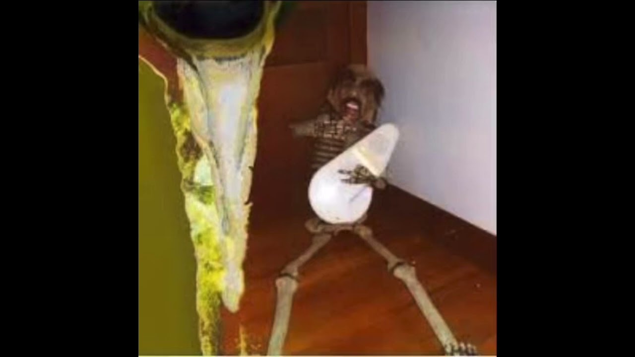 TOBACCO - The Allegheny White Fish Tapes (FULL COMPILATION)