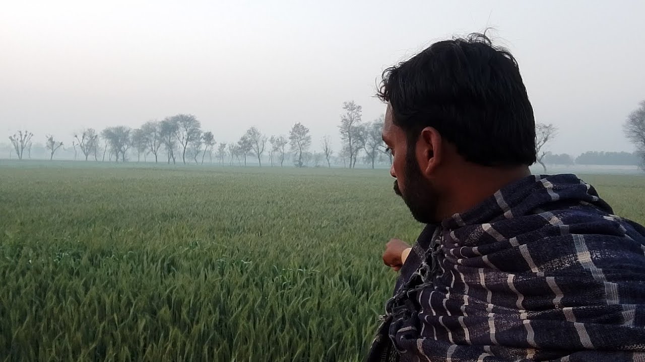 My daily live vlog what this time video#dailyvlog #dothingsyoudontwanttodo 