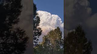 the pyrocumulous cloud forming from the bootleg fire currently the largest fire in the U.S