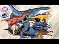 Dan Surprise : 15 Carnivorous Dinosaurs Animals Surprise Toys For Kids 3d Puzzles Tyrannosaurus Spinosaurus Youtube