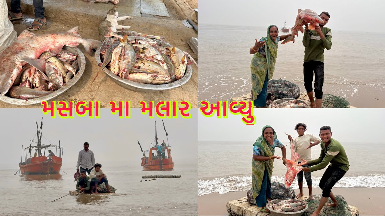 મસબા એ મચ્છી ના પાળા પાડી દીધા 🦈🦐 13 kg maghar fishing 🎣 dariyai khedut