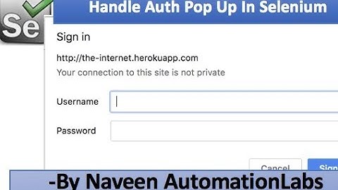 How to Handle Basic Authentication Pop Up in Selenium