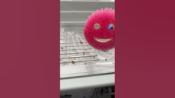 QUICK kitchen sink CLEAN with The Pink Stuff! 💖 #thepinkstuff #sinkclean #scrubmommy
