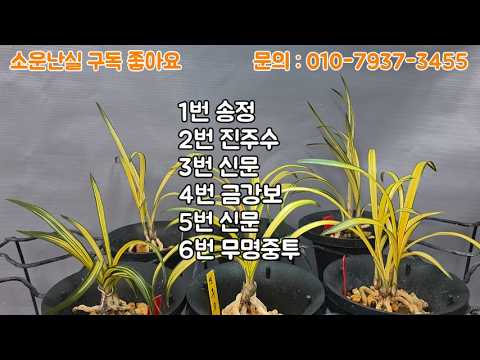 유튜브 썸네일