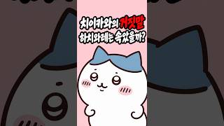 치이카와의 거짓말, 하치와레는 정말 속았을까?