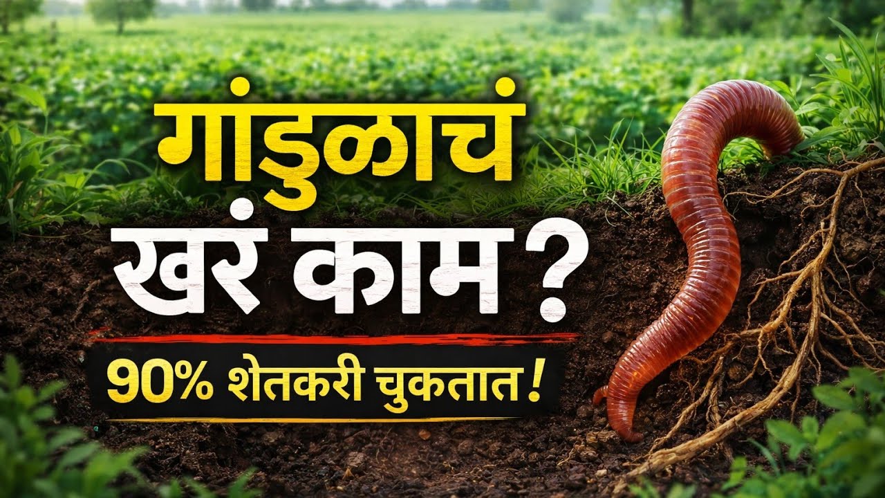 गांडुळ जमिनीत काय काम करतं? 90% शेतकऱ्यांना माहिती नाही!”