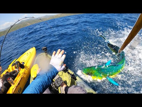 Offshore Kayak Fishing for GIANT MAHI {CATCH CLEAN COOK} -- Panama | Field Trips with Robert Field