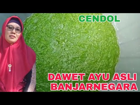 #102 Dawet I Surinaamse kokosdrank op mijn manier I English subtitle I Rotrish