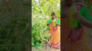 The human body transports water, greening the desert is funny special effects desert greening