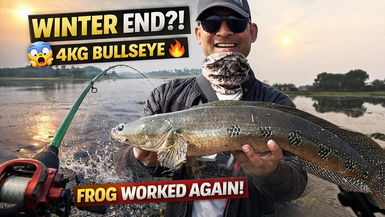 Winter Frog Lure Test | Bullseye Snakehead Action in February 🎣  | Saharsa Bihar Fishing
