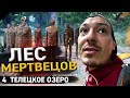 Плохой Алтай. Лес мертвецов.   Путешествие дикарем. Гибель туристов. Телецкое озеро.