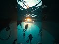Beneath the Surface A Day with the Private Submarine Architect