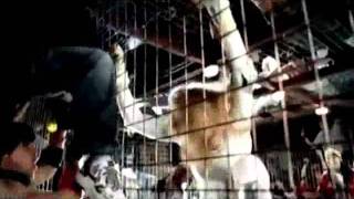 Madonna - Feel Sorry. Мадонна против Матвиенко! Жесть! Madonna - Feel Sorry. Мадонна против Матвиенко! Жесть!