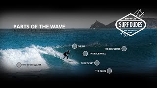 Parts of the Wave used in Surfing by Surf Dudes
