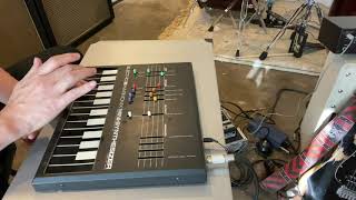 Eddie Van Halen Tribute Sunday Afternoon In The Park