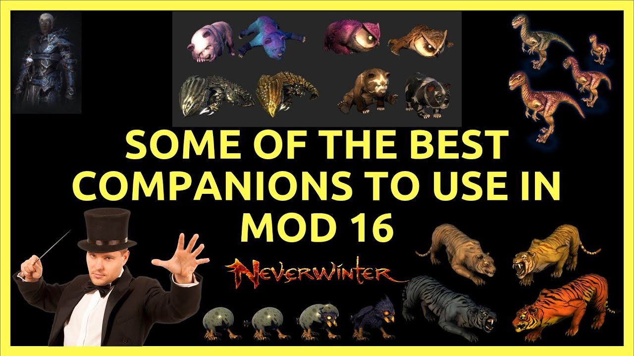 Some Of The Better & Best Companions To Use In Neverwinter Mod 16