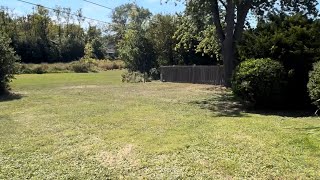 🏡 Homewood, IL | Could This Be Your Forever Home?