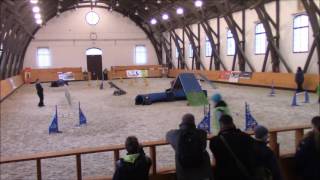 HAPI agility open