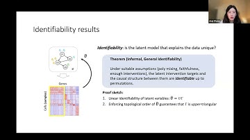 Jiaqi Zhang: Learning causal cellular programs from large-scale perturbations