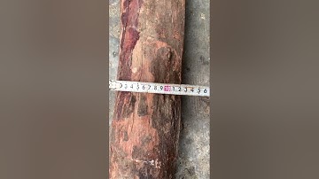 GL cuối tuần 2 khúc cẩm chỉ krôngpa đặc tịt tinh lõi 24kg kt trong vd đục tiện đều víp ạ