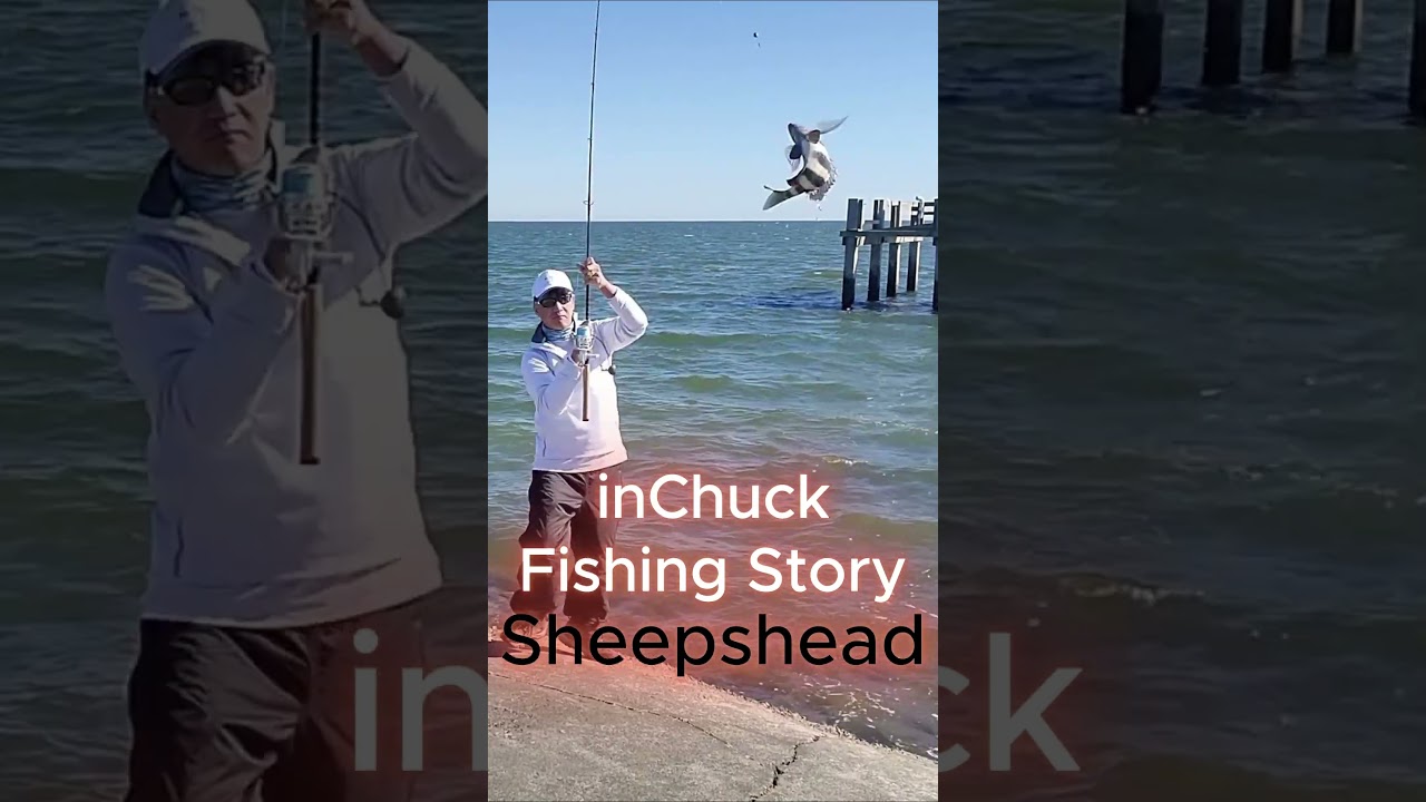 Fishing for Sheepshead from Slippery Rocks